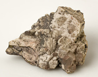 M 00113
<br/>
<br/>
<em></em>